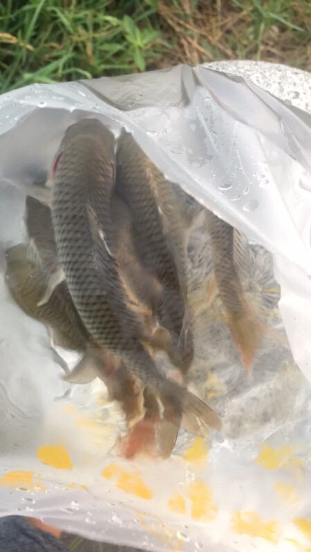 疲惫八段锦,连战第一次破冰之旅