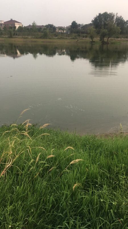 疲惫八段锦,连战第一次破冰之旅