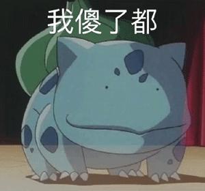 大同今日猪肉价多少一斤,猪肉降价了羊肉有没有降价