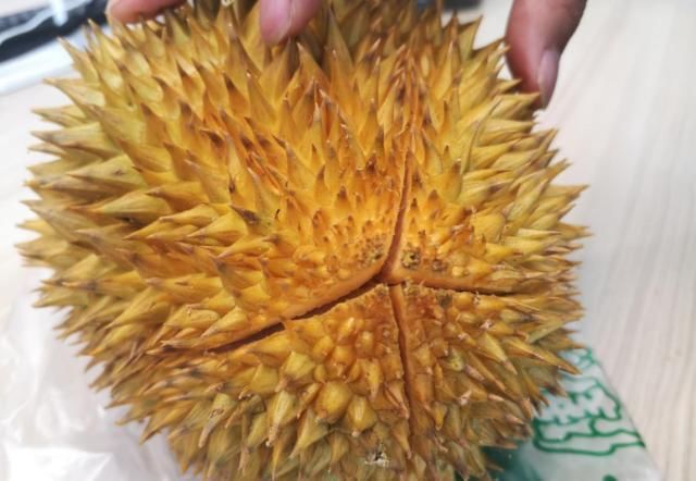 挑选榴莲三大技巧榴莲控必看,不会挑榴莲记住这三点