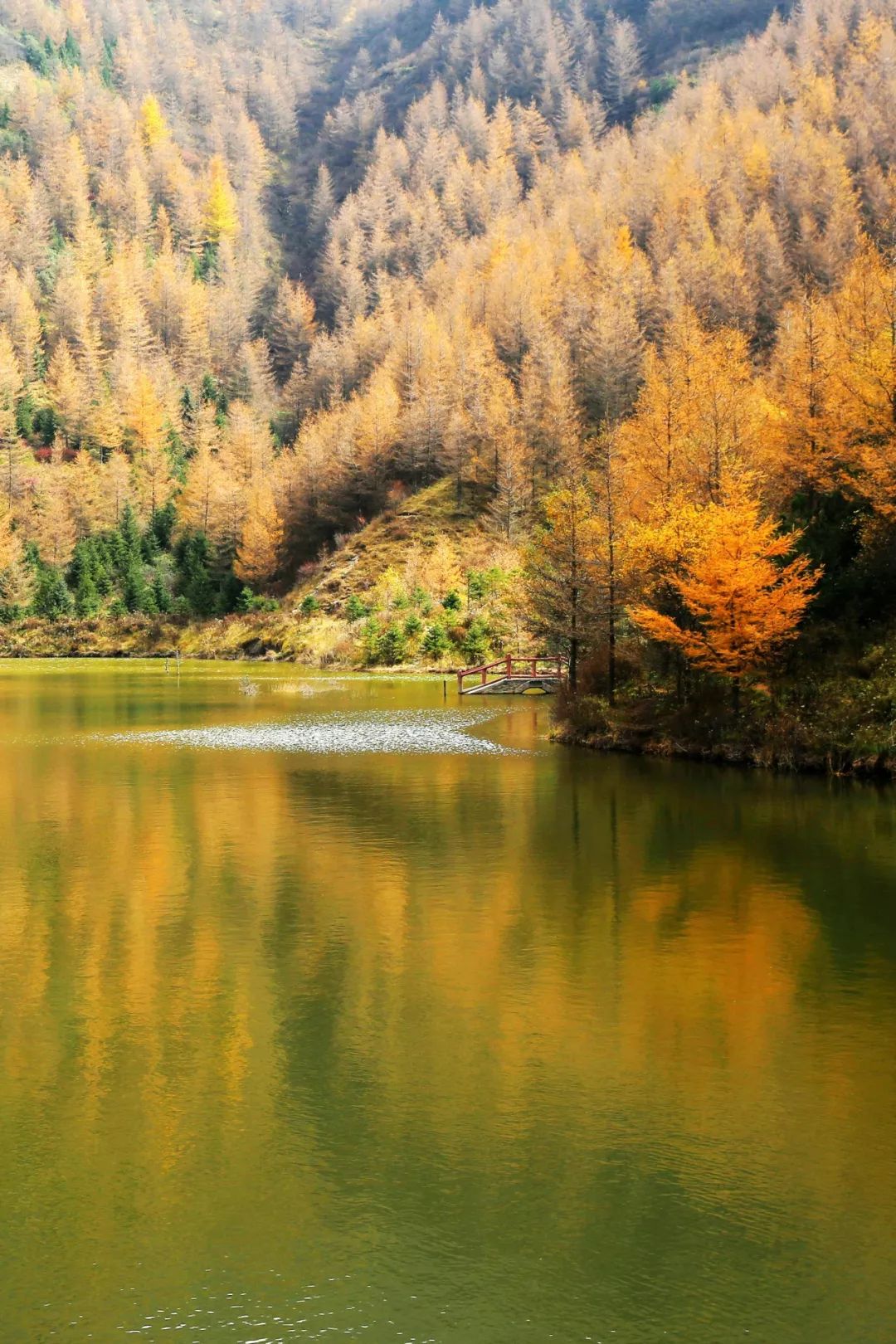 宁夏有多少神奇的故事,宁夏古老的传说