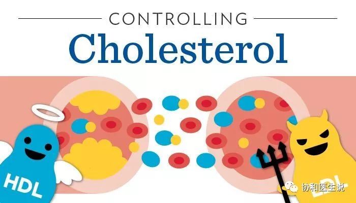 血脂异常是无声的杀手,血脂异常医生健康科普
