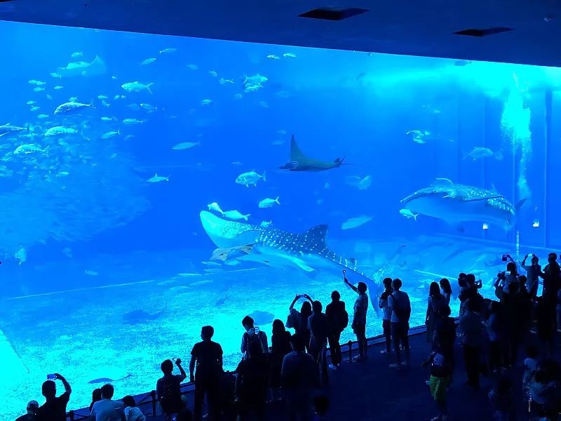 日本47个都道府县的特色,日本47个都道府县的第一印象