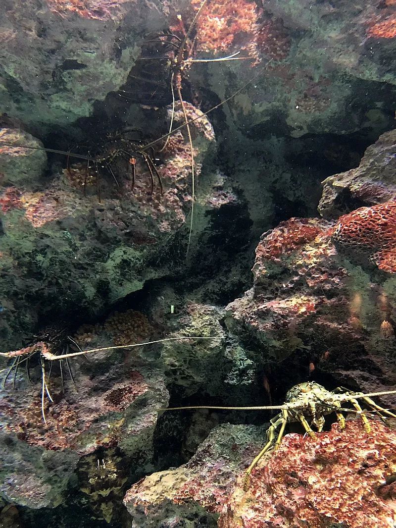 日本47个都道府县的特色,日本47个都道府县的第一印象