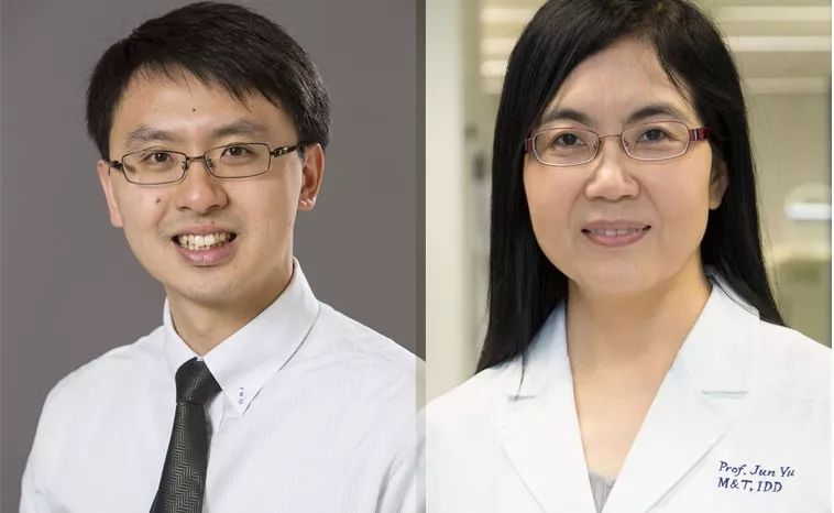 Gastroenterology封面：双歧杆菌可防治阿司匹林引起的溃疡；胶带测儿童湿疹|知几研究速递Vol.33