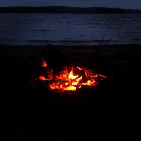 拥有100多瓶香水是什么体验,拥有一百瓶香水