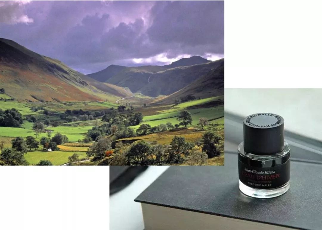 拥有100多瓶香水是什么体验,拥有一百瓶香水