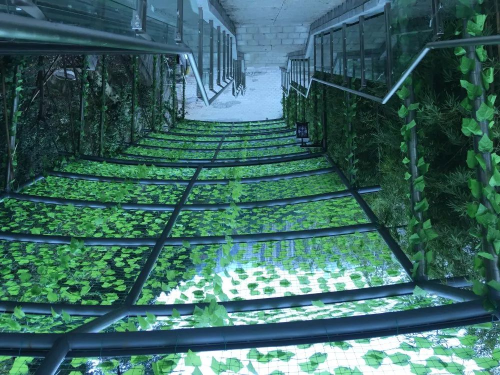 乘坐电动扶梯视频,轨道交通中常见的电扶梯