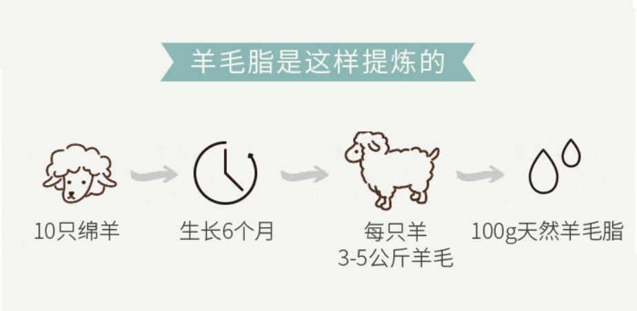 秋冬高保湿澳洲绵羊油补水,澳洲正品绵羊油面霜大容量200g