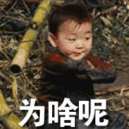 网络占卜算命运,算命割韭菜套路