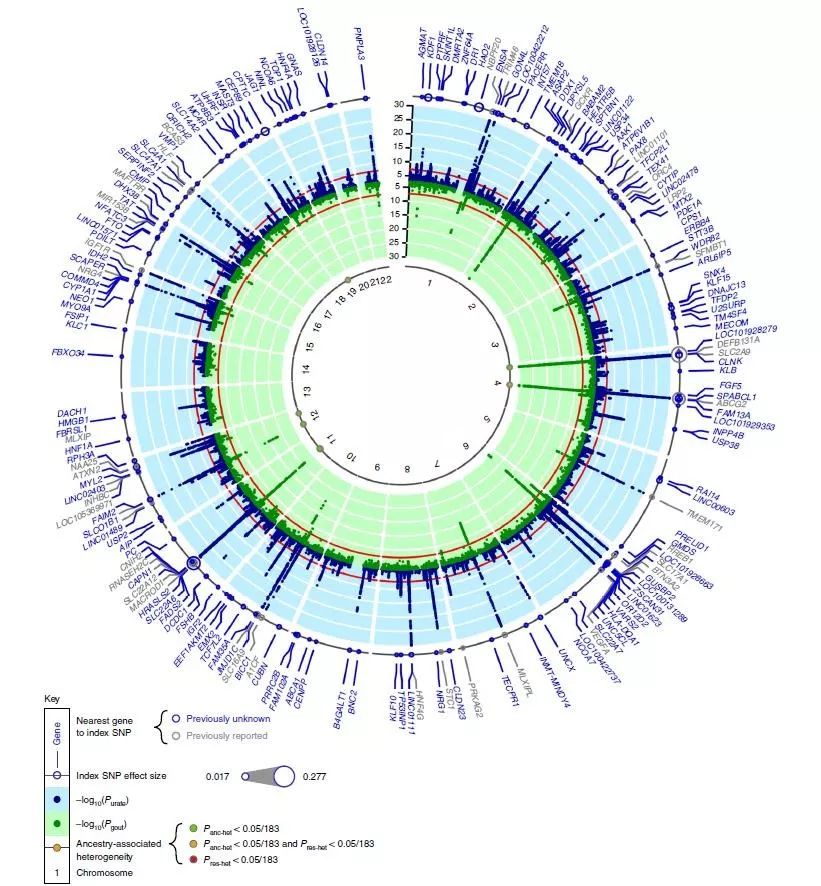 痛风新药358元一盒,痛风药2000元一颗