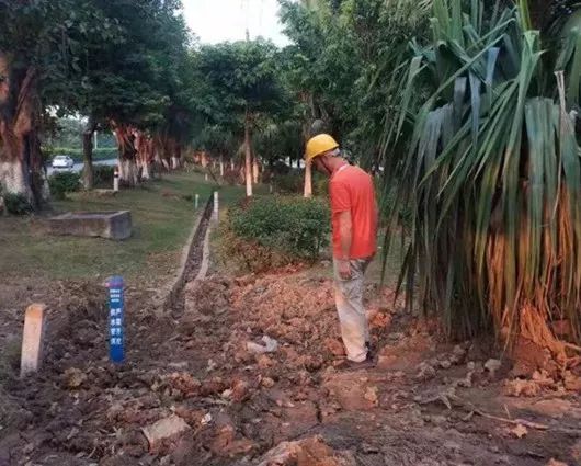 假日里，佛山的这些身影，最可爱！