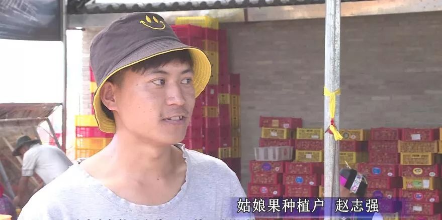 产业转型：石林尼迷的科技有限公司帮助农户做姑娘果产业