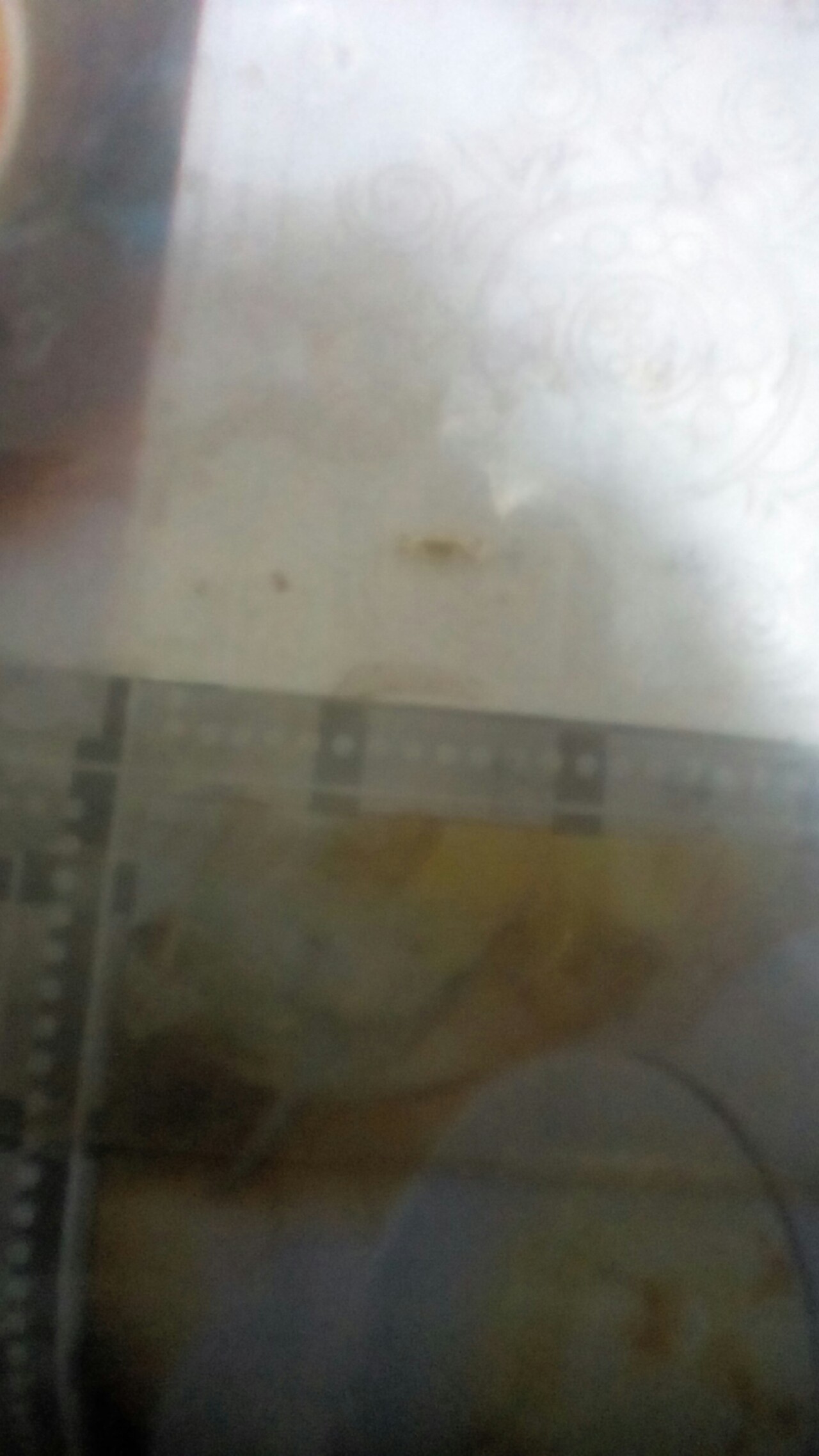 自制线组的绑法,手竿浮钓线组绑法