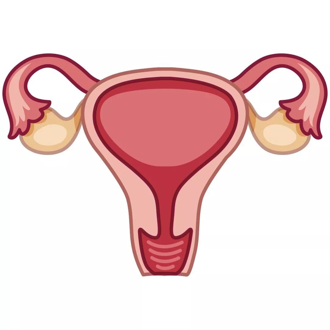 孕妈便秘大家都是怎么解决的,孕妈便秘注意事项和解决办法