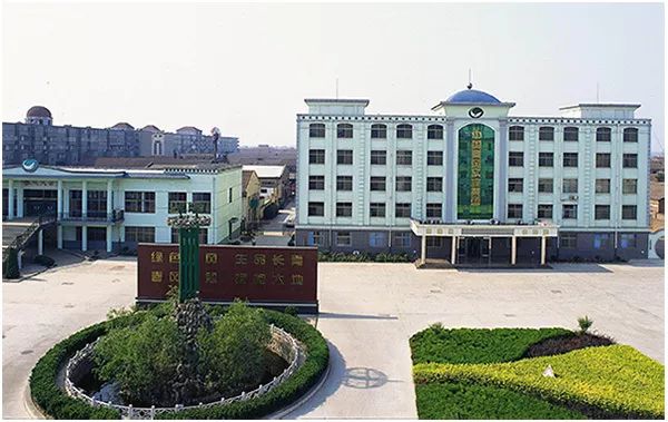 衡水市冀州区是全国百强县吗,衡水市冀州区官网