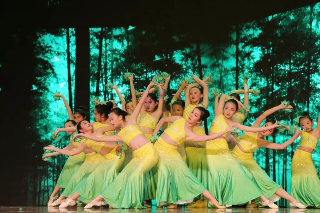 花溪区碧桂园国际学校幼儿园,贵阳花溪碧桂园国际学校