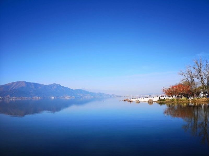 美得不用滤镜！带你邂逅“一个春天的城市”，一辈子一定要去一次