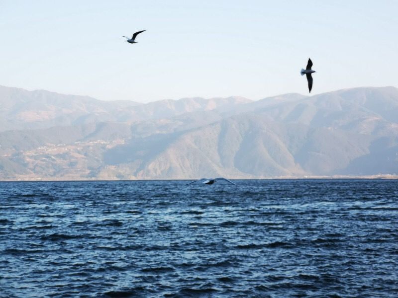 美得不用滤镜！带你邂逅“一个春天的城市”，一辈子一定要去一次