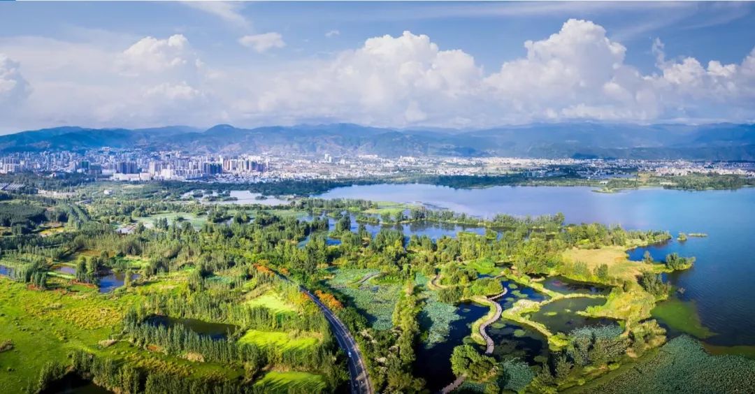 美得不用滤镜！带你邂逅“一个春天的城市”，一辈子一定要去一次