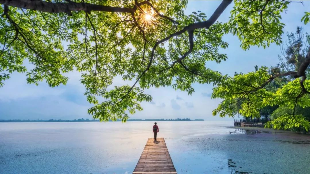 美得不用滤镜！带你邂逅“一个春天的城市”，一辈子一定要去一次