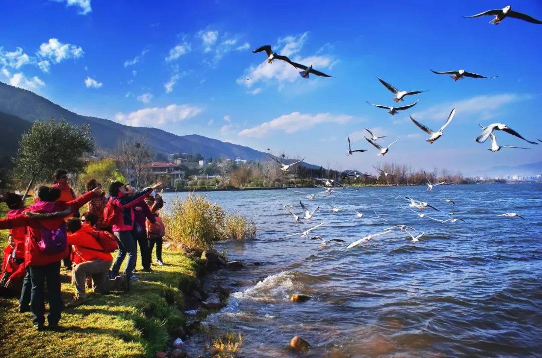 美得不用滤镜！带你邂逅“一个春天的城市”，一辈子一定要去一次