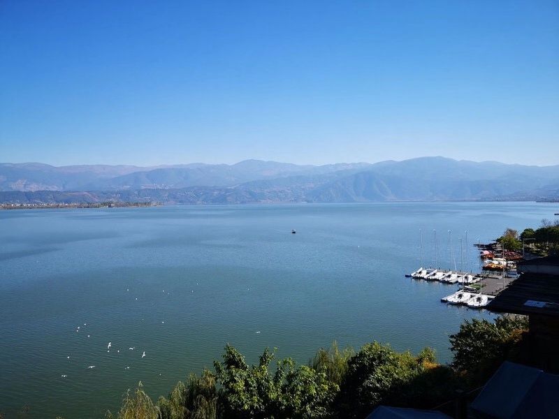 美得不用滤镜！带你邂逅“一个春天的城市”，一辈子一定要去一次