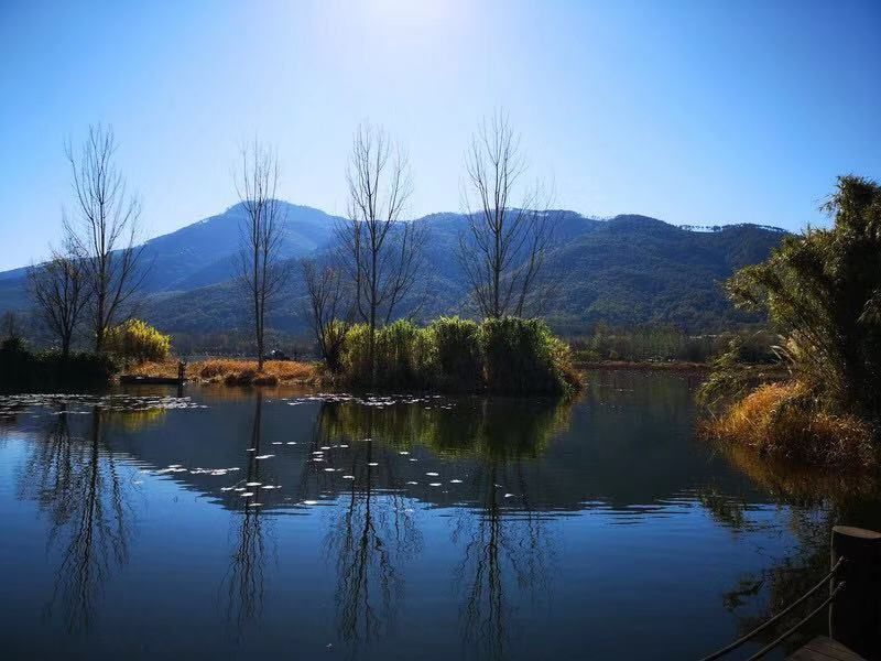 美得不用滤镜！带你邂逅“一个春天的城市”，一辈子一定要去一次