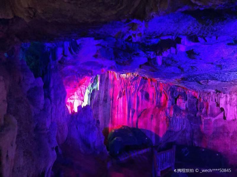 美得不用滤镜！带你邂逅“一个春天的城市”，一辈子一定要去一次