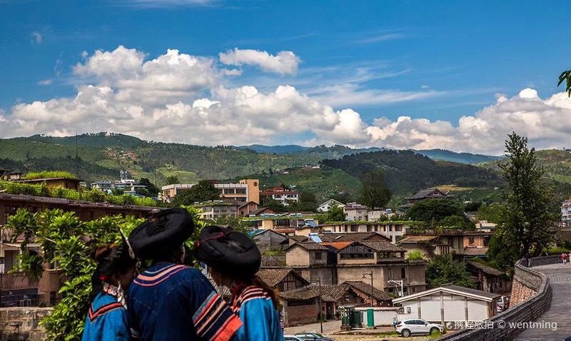 美得不用滤镜！带你邂逅“一个春天的城市”，一辈子一定要去一次