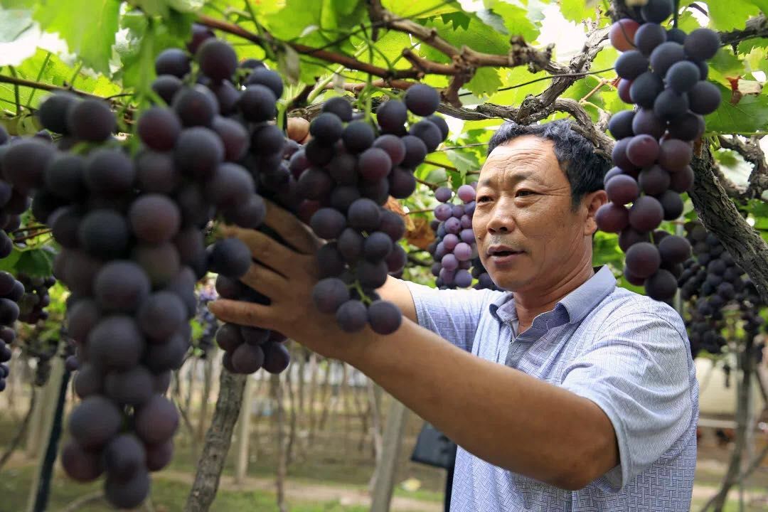 美得不用滤镜！带你邂逅“一个春天的城市”，一辈子一定要去一次