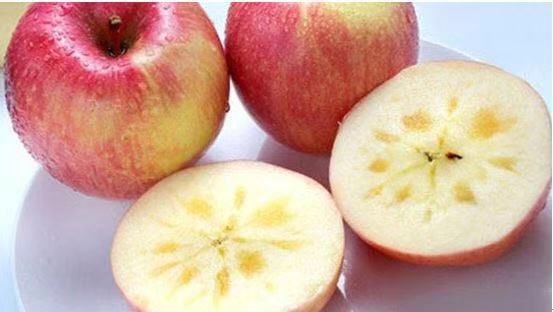 美得不用滤镜！带你邂逅“一个春天的城市”，一辈子一定要去一次