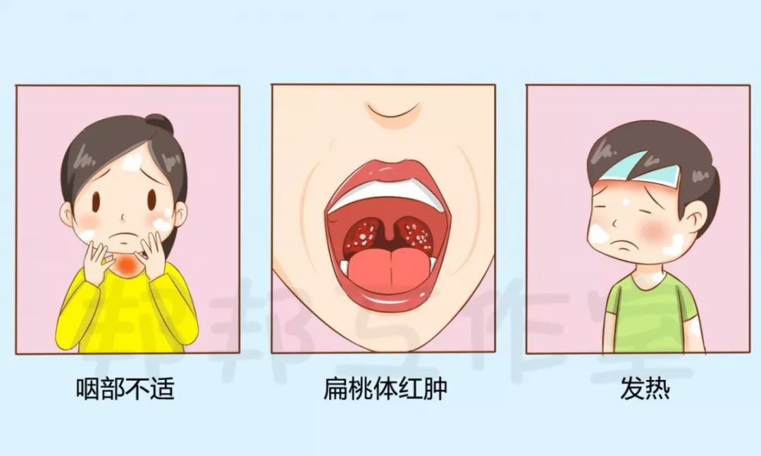 割了扁桃体就不会喉咙发炎了吗,割了扁桃体会变傻吗