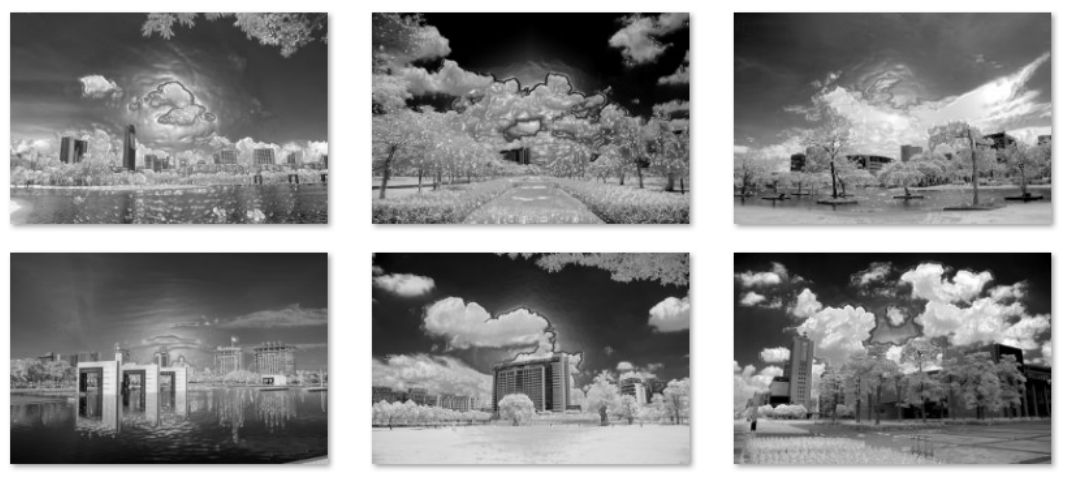 有声有色摄影展|24名摄影人，拍下了值得你遇见的南城