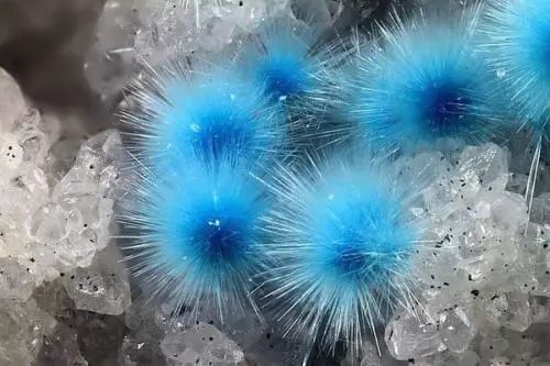 谁还不是个小可爱文案,谁小时候还不是个小可爱