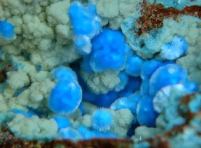 谁还不是个小可爱文案,谁小时候还不是个小可爱