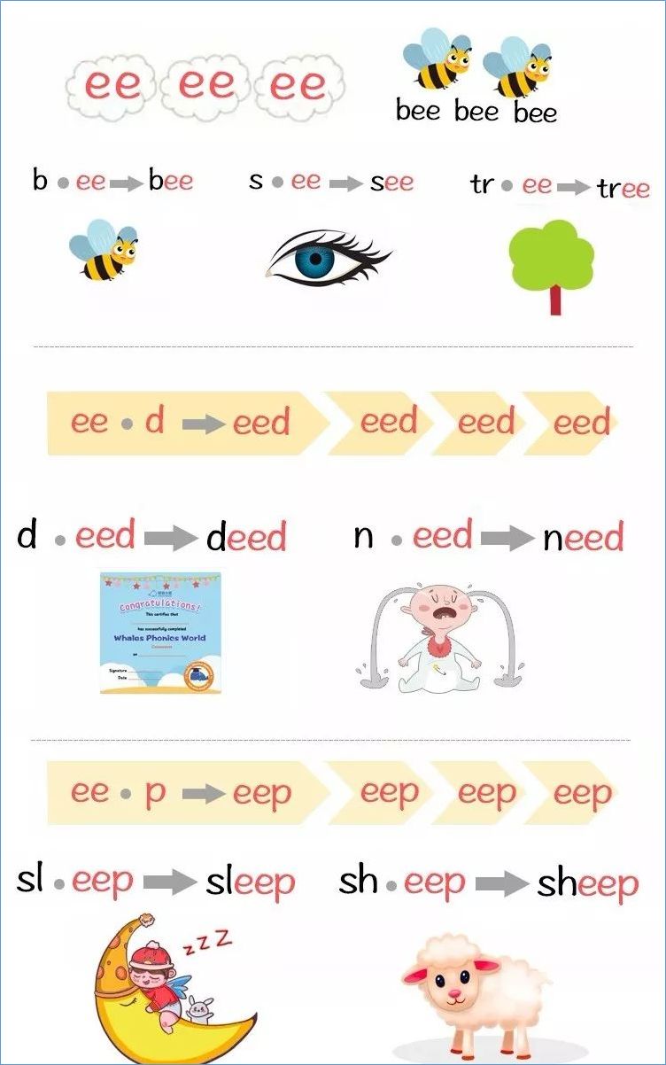 自然拼读课程和绘本,自然拼读绘本及课程