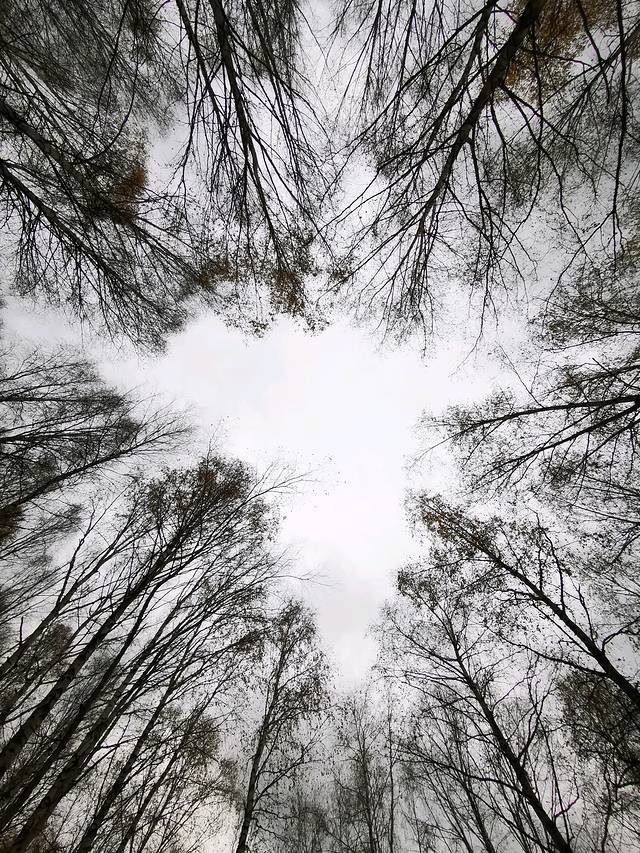 走过了圣城拉萨,这次让我们出使西域——*疆新**,一个来了之后会上瘾的地方