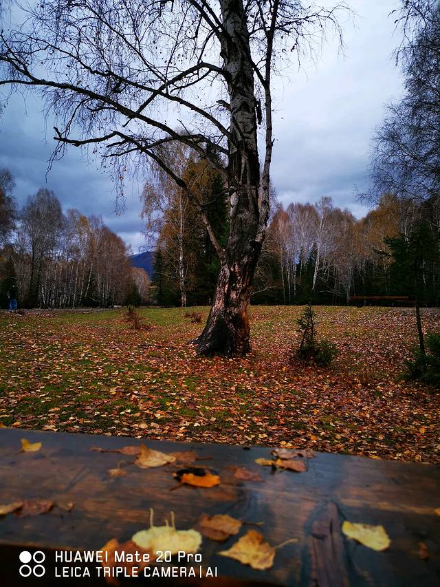 走过了圣城拉萨,这次让我们出使西域——*疆新**,一个来了之后会上瘾的地方