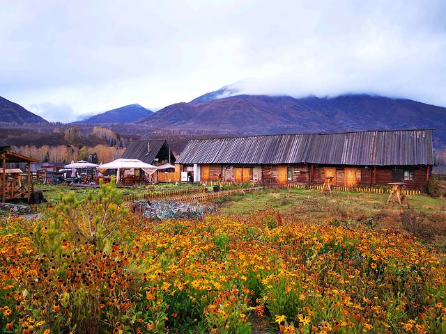走过了圣城拉萨,这次让我们出使西域——*疆新**,一个来了之后会上瘾的地方