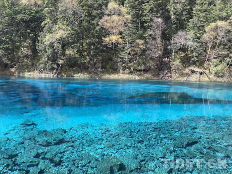 海外评九寨沟,九寨沟国外评论