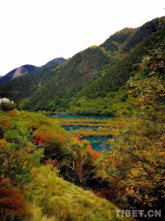 海外评九寨沟,九寨沟国外评论