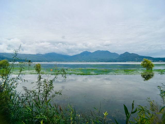 丽江大研花巷美景,丽江大研花巷旅游景点