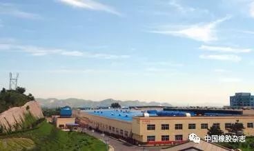 浪马轮胎海外建厂,巴基斯坦总理亲自接见