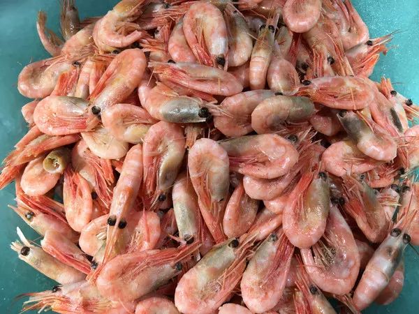 甘井子自助餐排行榜,甘井子15元自助餐