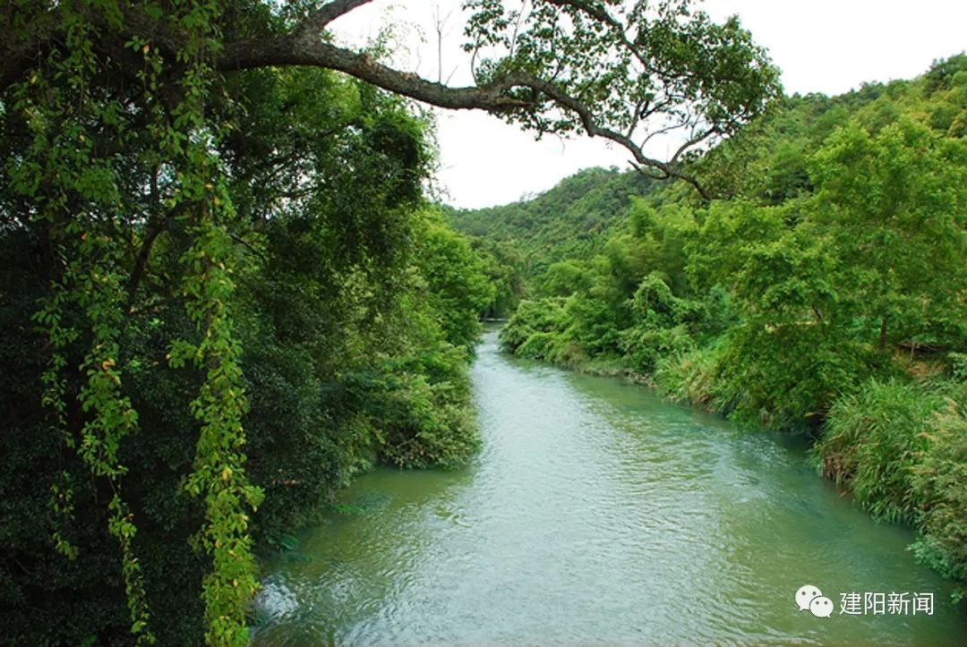 【壮丽七十年·奋斗新时代】莒口:生态环境“高颜值”,绿色发展“高质量”