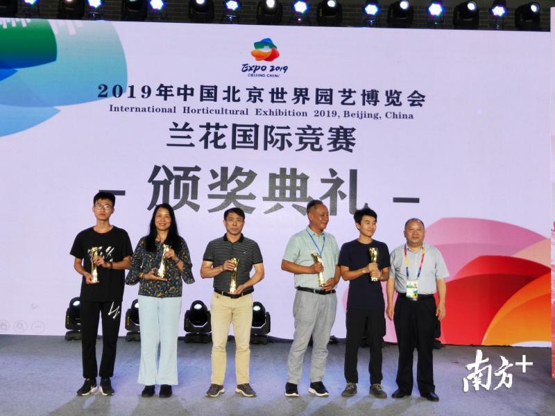 翁源打造兰花交易市场,翁源兰花市场发展规划