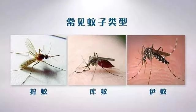 @全体南宁人,赶紧翻盆倒罐动起来!“三红”、“三痛”又是啥?