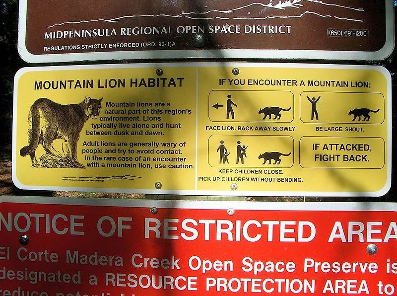 “你看那个人,好像在用浣熊投毒。”