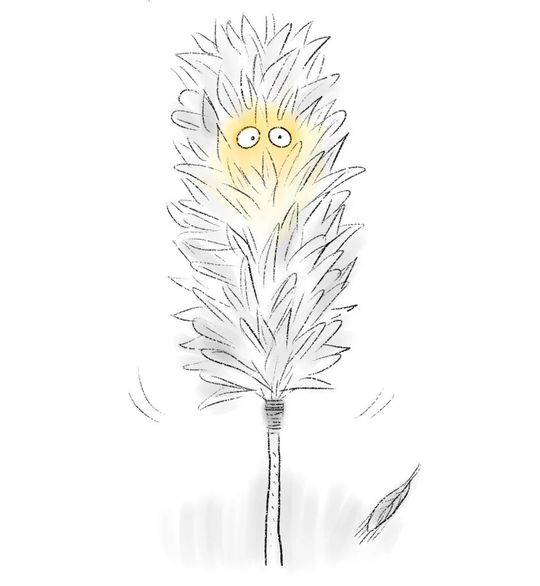 早起的虫儿被鸟吃搞笑图,早起的鸟儿有虫吃啥意思